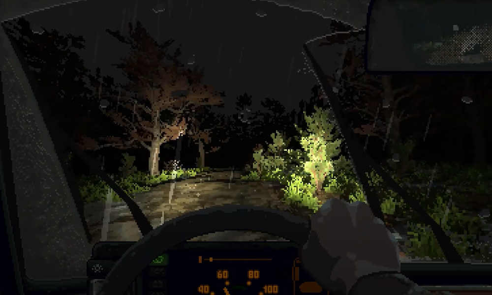 Holstin prezentacja broni i perspektyw